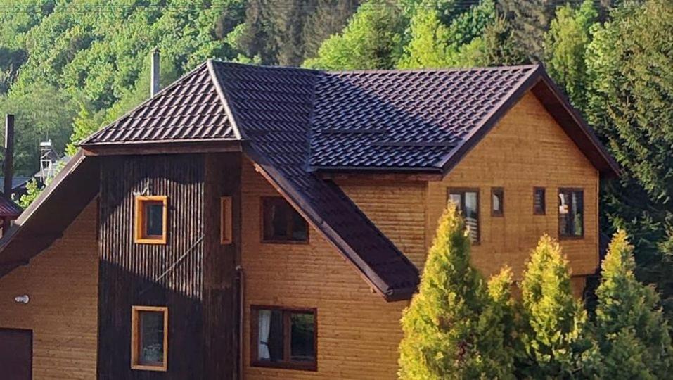 Willa Sezatoarea Lupilor Lepşa Zewnętrze zdjęcie