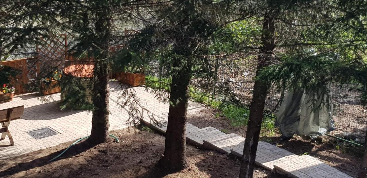 Willa Sezatoarea Lupilor Lepşa Zewnętrze zdjęcie