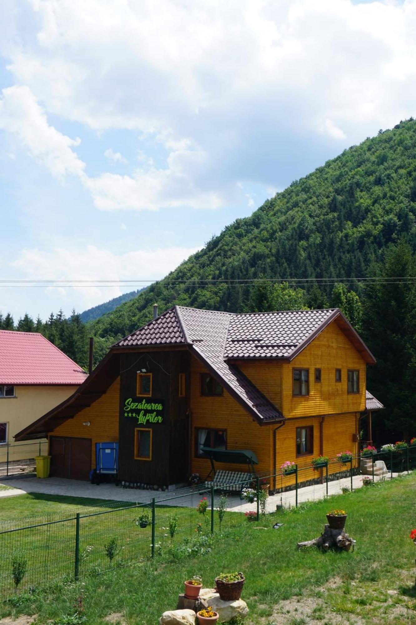 Willa Sezatoarea Lupilor Lepşa Zewnętrze zdjęcie